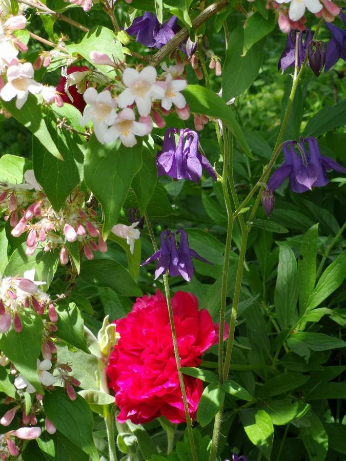 La Malinette B&B, Calme Et Authenticite Mâlain 外观 照片