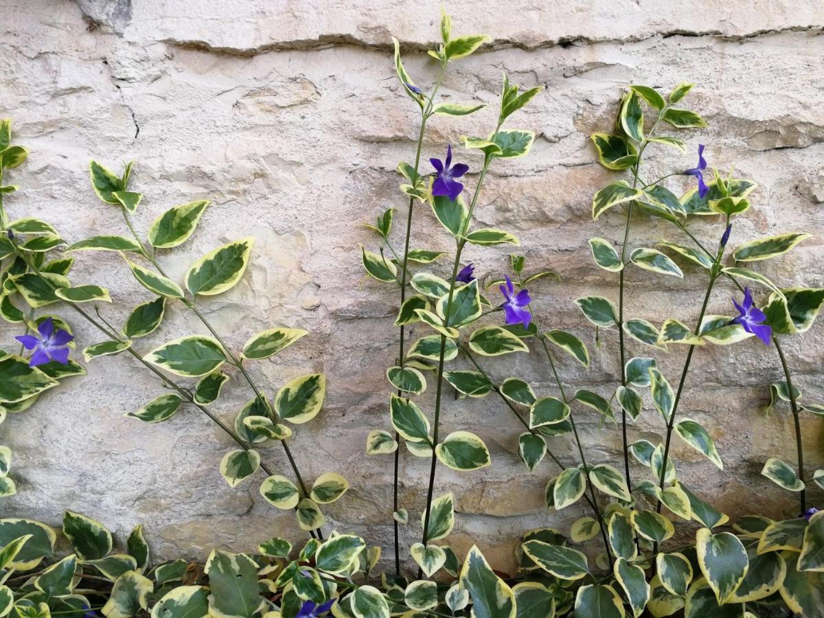 La Malinette B&B, Calme Et Authenticite Mâlain 外观 照片